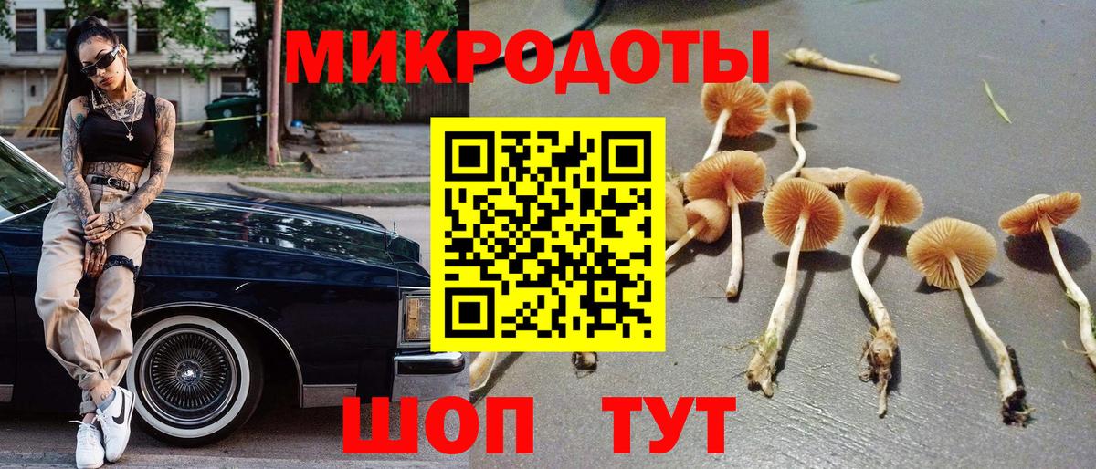 Псилоцибиновые грибы Cubensis Рузаевка