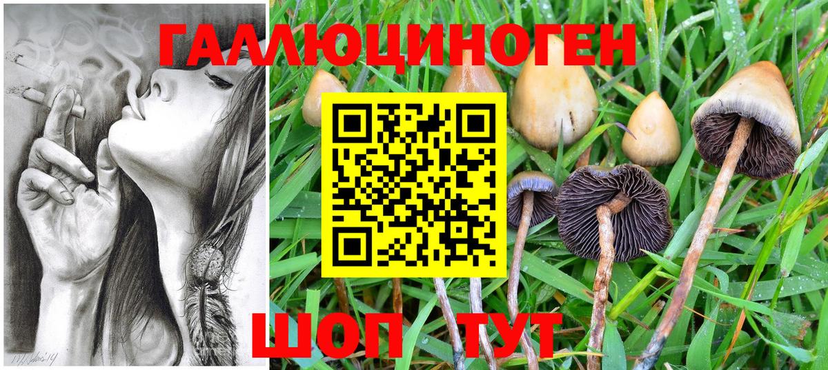 Рузаевка  Псилоцибиновые грибы мухоморы  Вход с VPN 